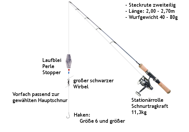 aalrute