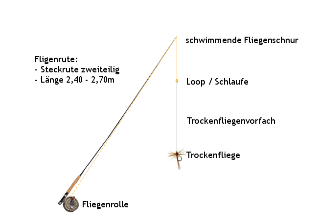 fliegenrute zum fang von forellen trockenfischen