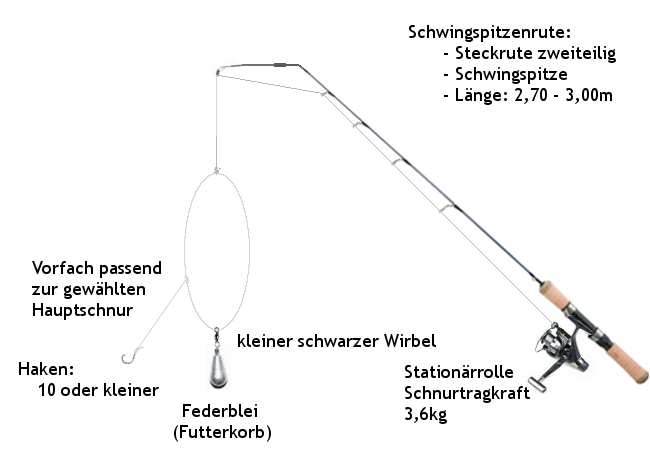 schwingspitzenrute