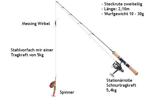 spinnrute zum fang von flussbarschen