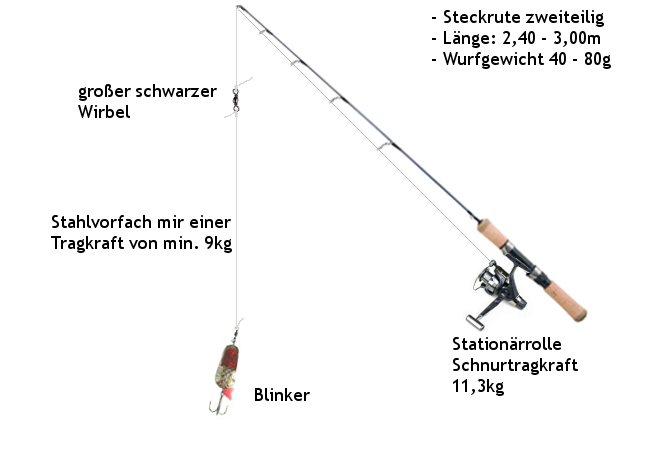 spinnrute zum fang von hecht